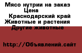 Мясо нутрии на заказ › Цена ­ 200 - Краснодарский край Животные и растения » Другие животные   